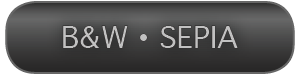 View B&W and Sepiatone Images