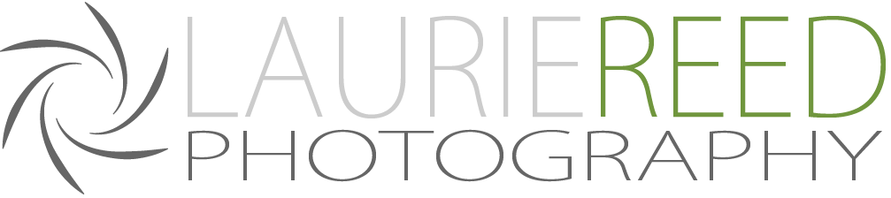Laurie Reed Photography