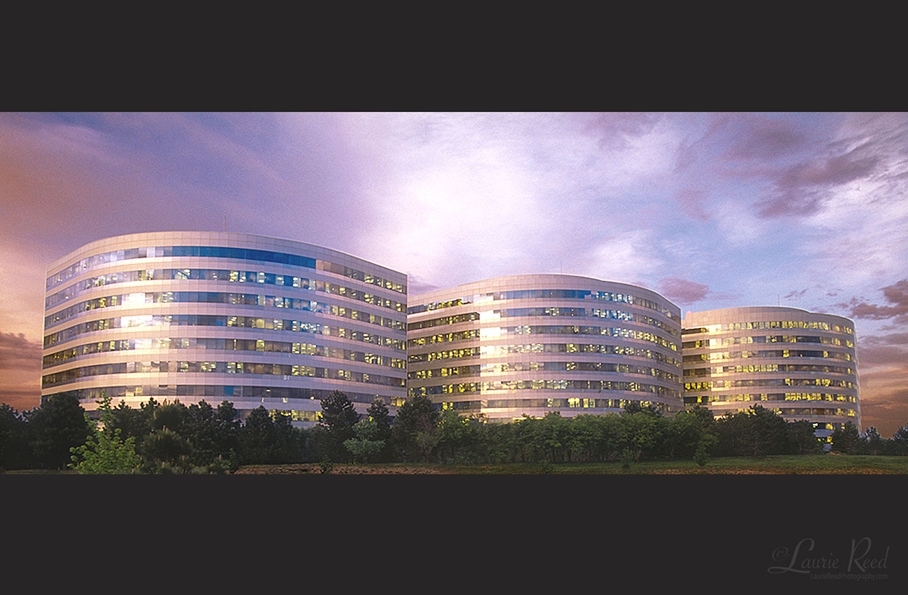 © Laurie Reed Photography