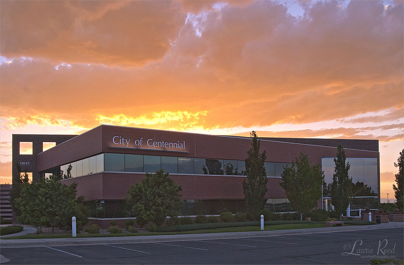 © Laurie Reed Photography