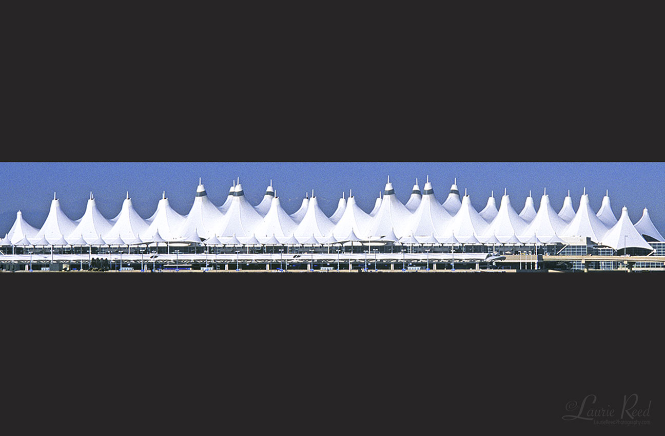 © Laurie Reed Photography