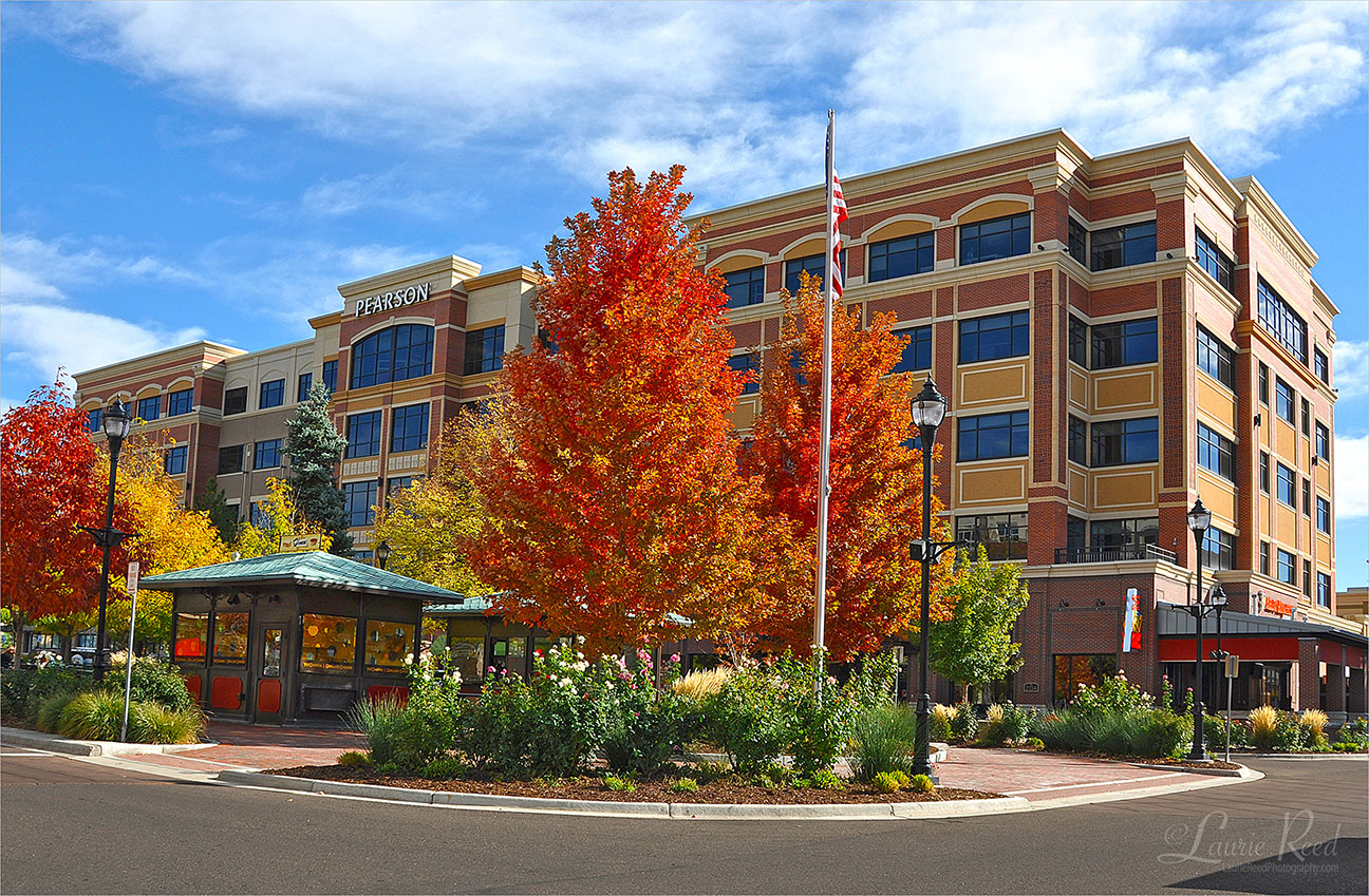 © Laurie Reed Photography