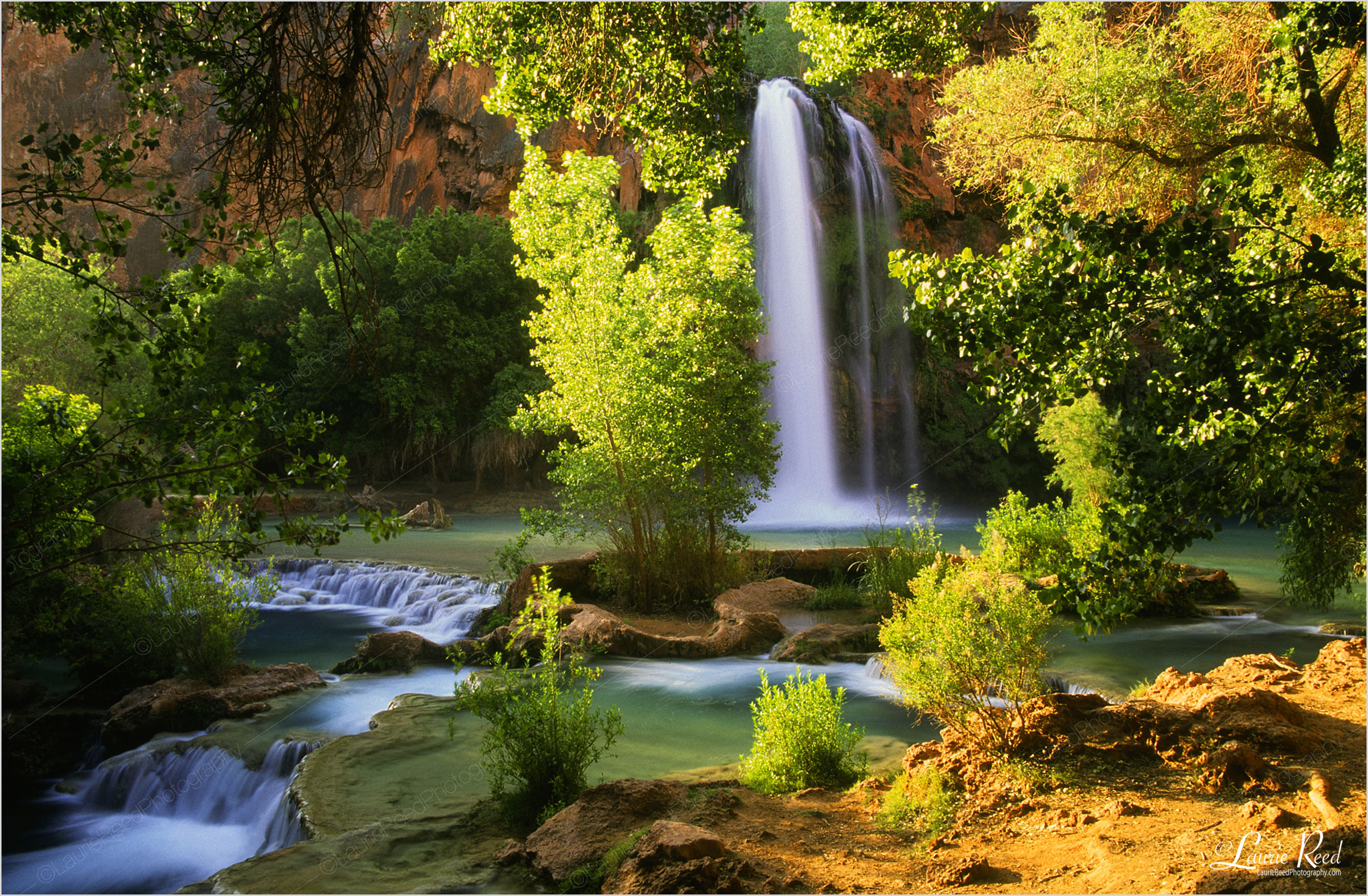 Garden of Eden | Havasu | Laurie Reed Photography