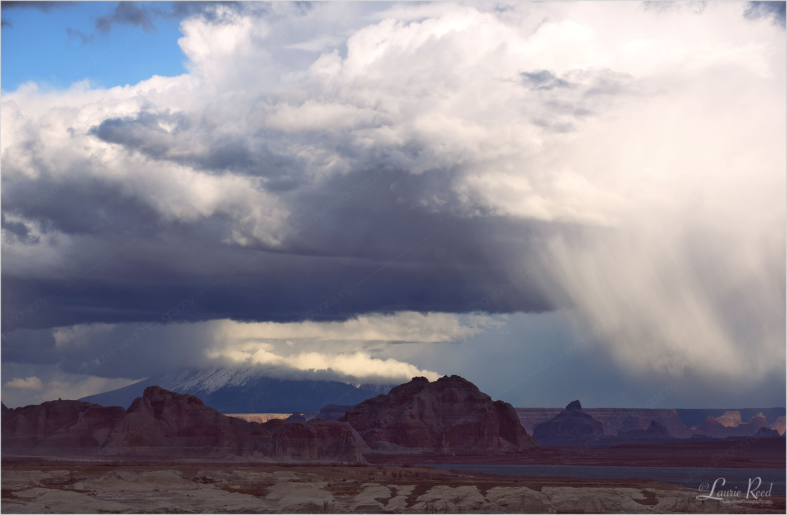 © Laurie Reed Photography