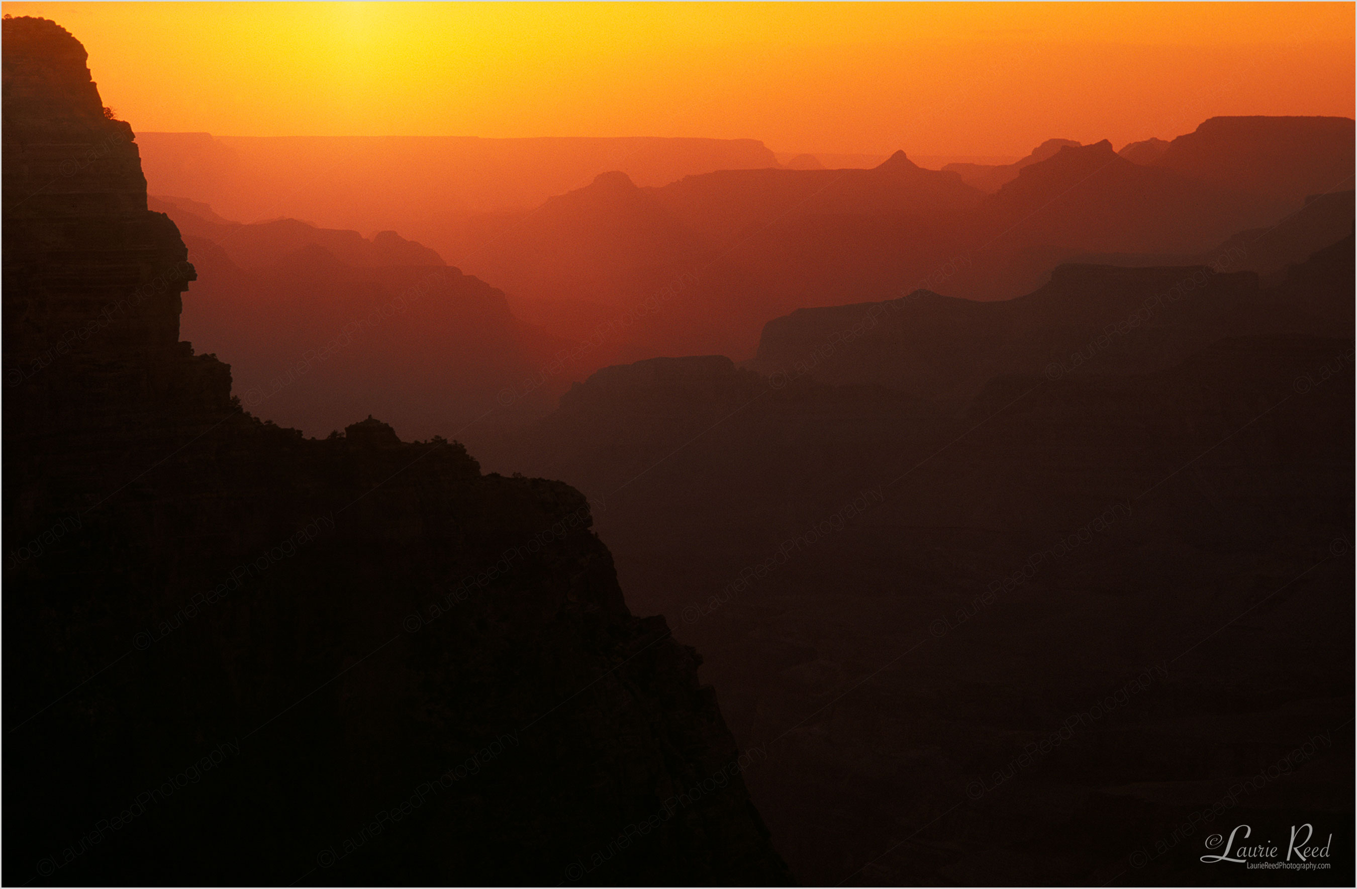 © Laurie Reed Photography