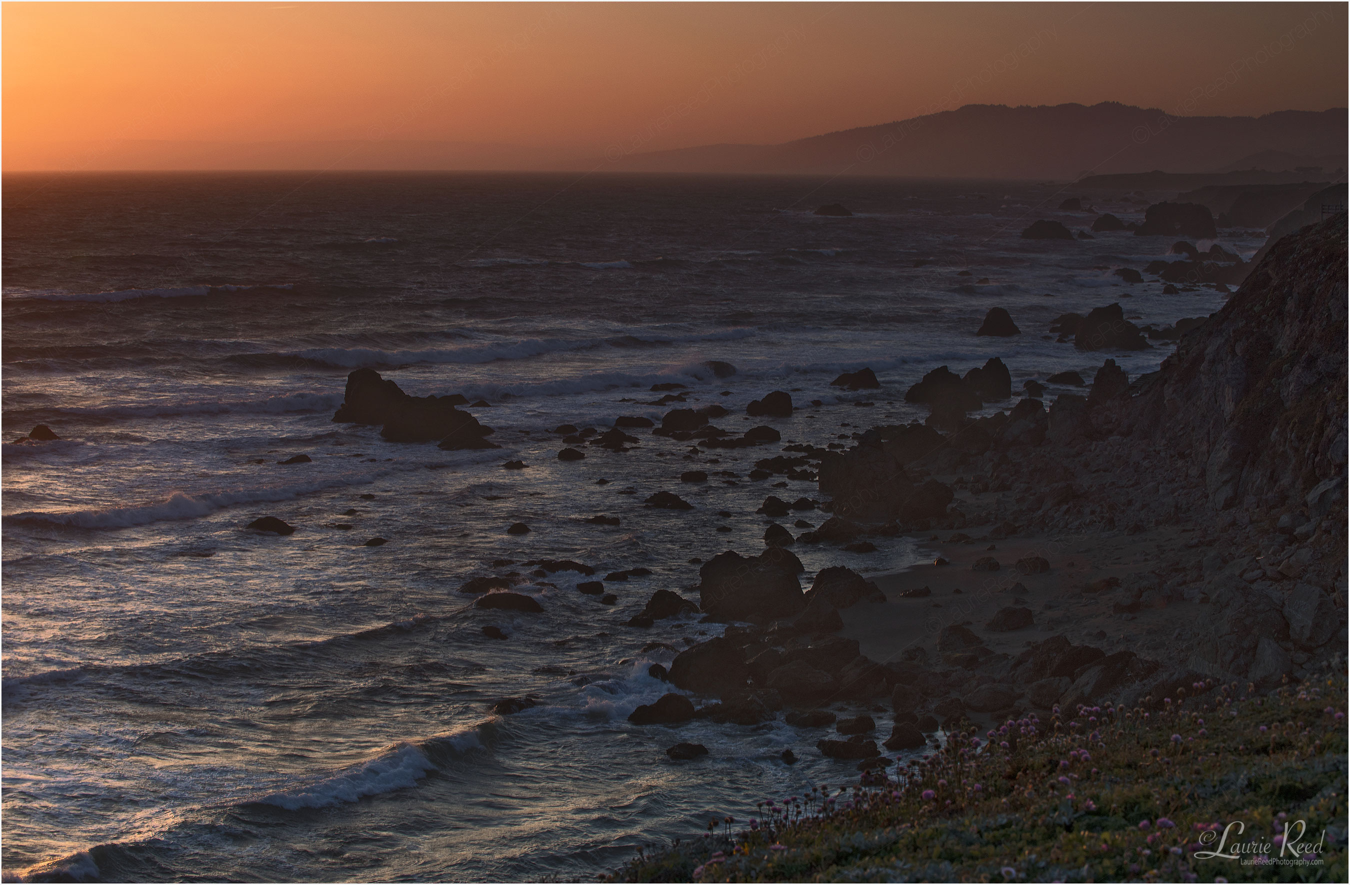 © Laurie Reed Photography