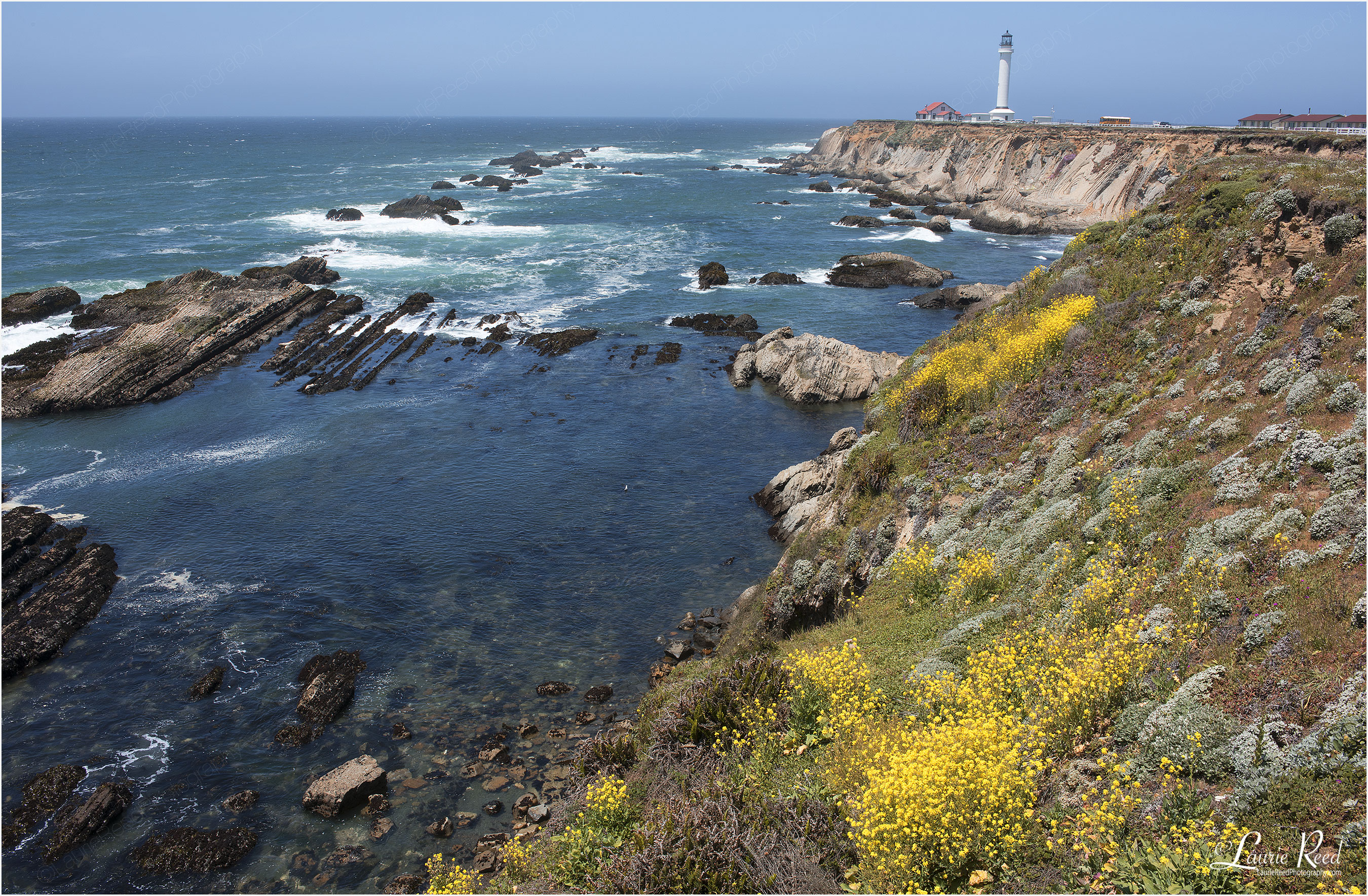 © Laurie Reed Photography