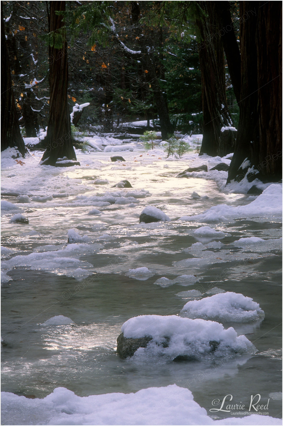 © Laurie Reed Photography - Yosemite Meltdown - California