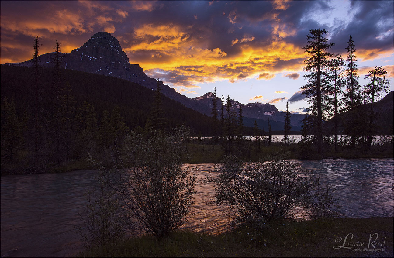 © Laurie Reed Photography