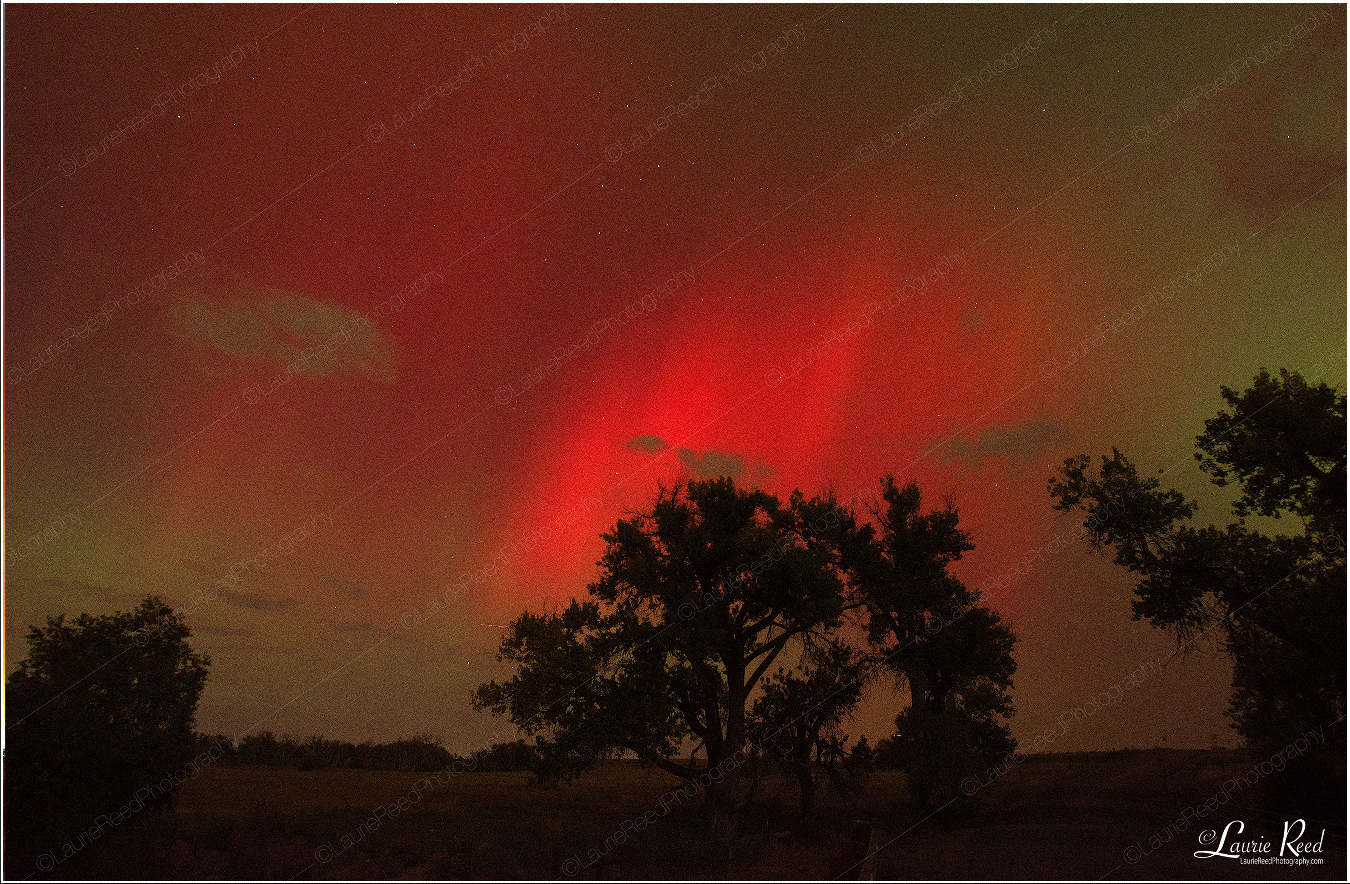 Aurora Borealis - 1498 © Laurie Reed Photography