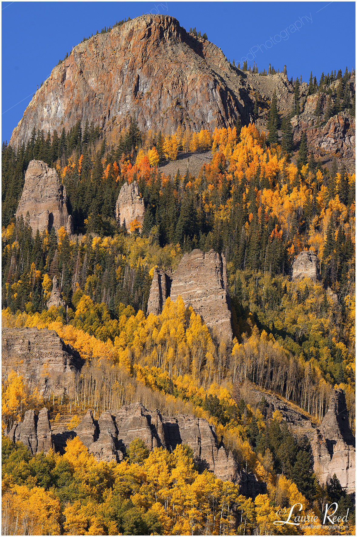 Campview-3665 © Laurie Reed Photography