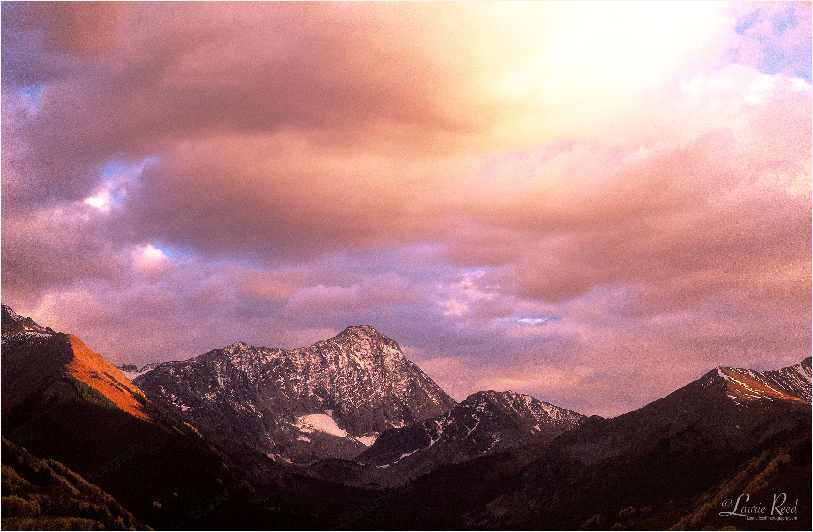 © Laurie Reed Photography