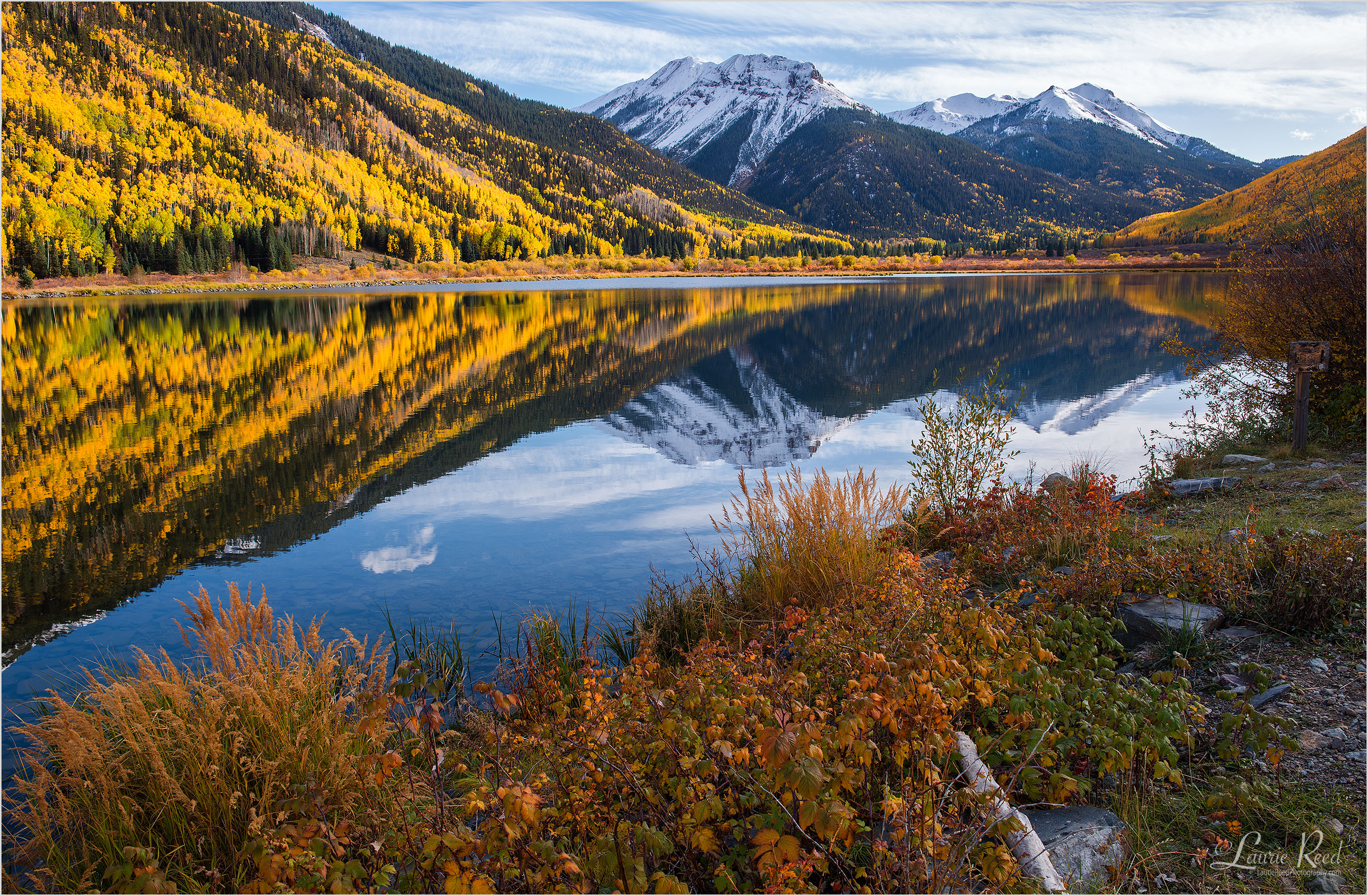 © Laurie Reed Photography