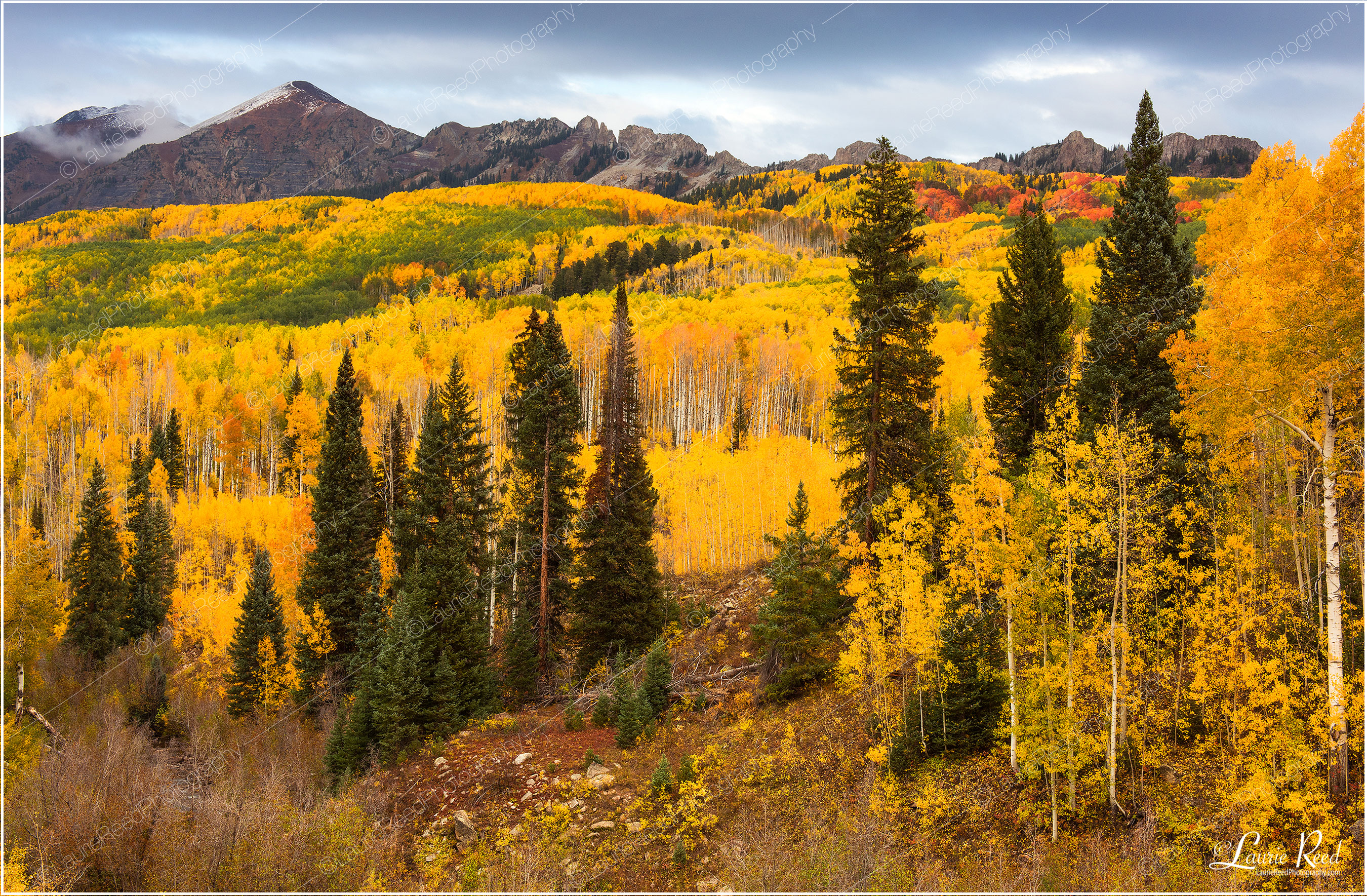 Kebler Overlook Fall-2888 © Laurie Reed Photography