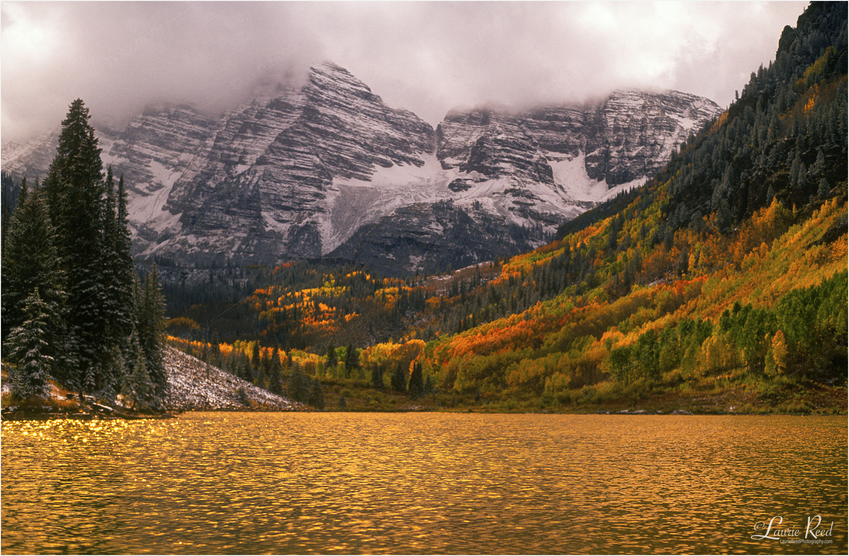 © Laurie Reed Photography