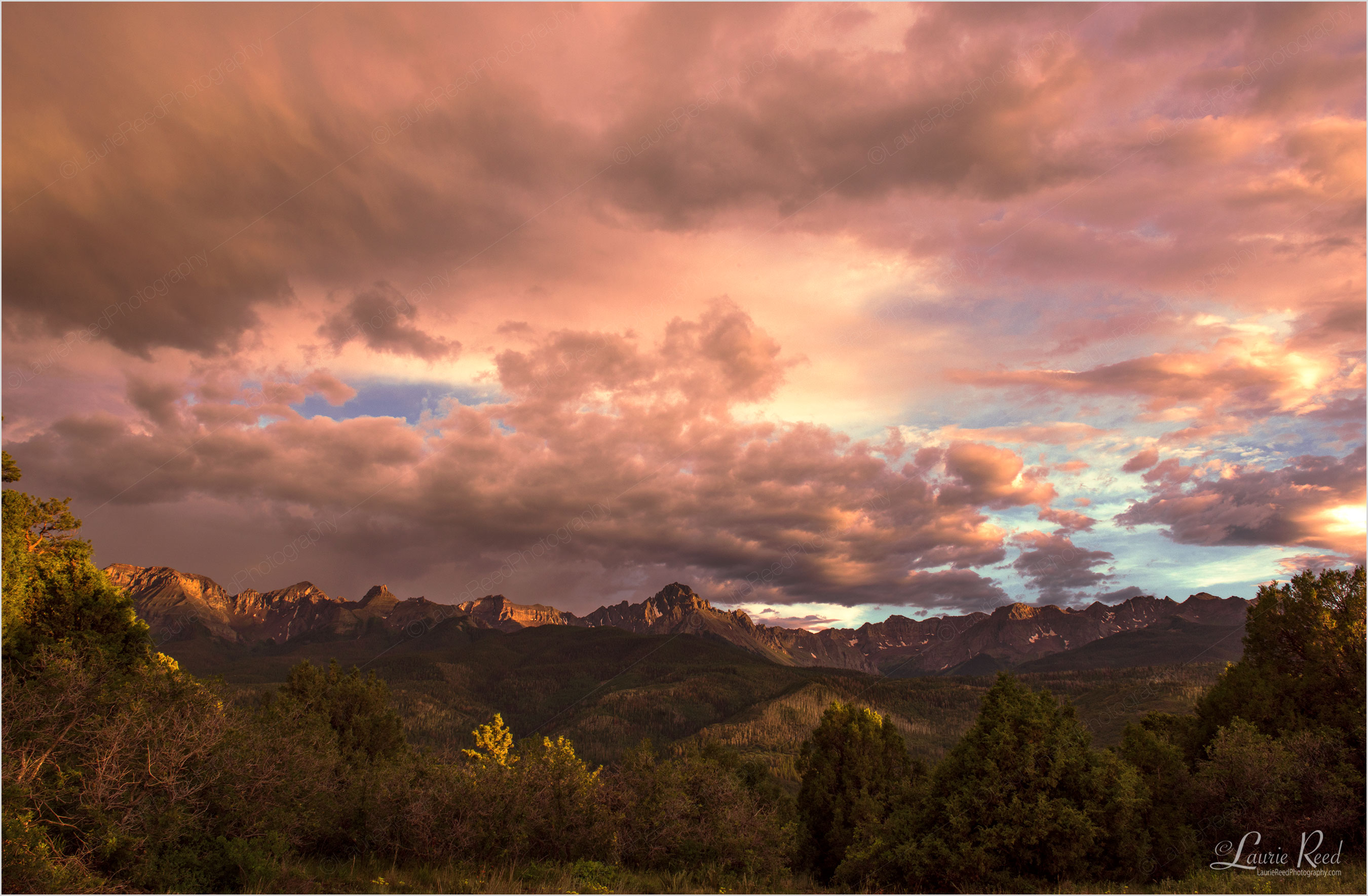 © Laurie Reed Photography