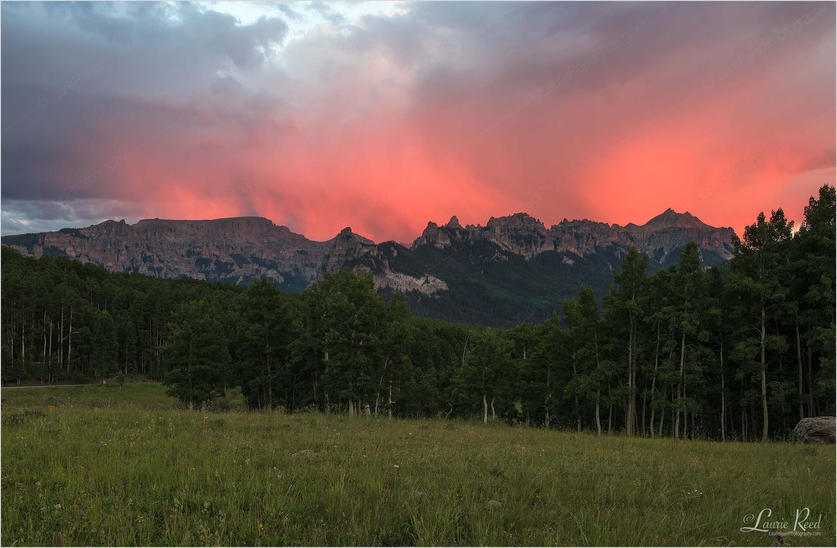 © Laurie Reed Photography