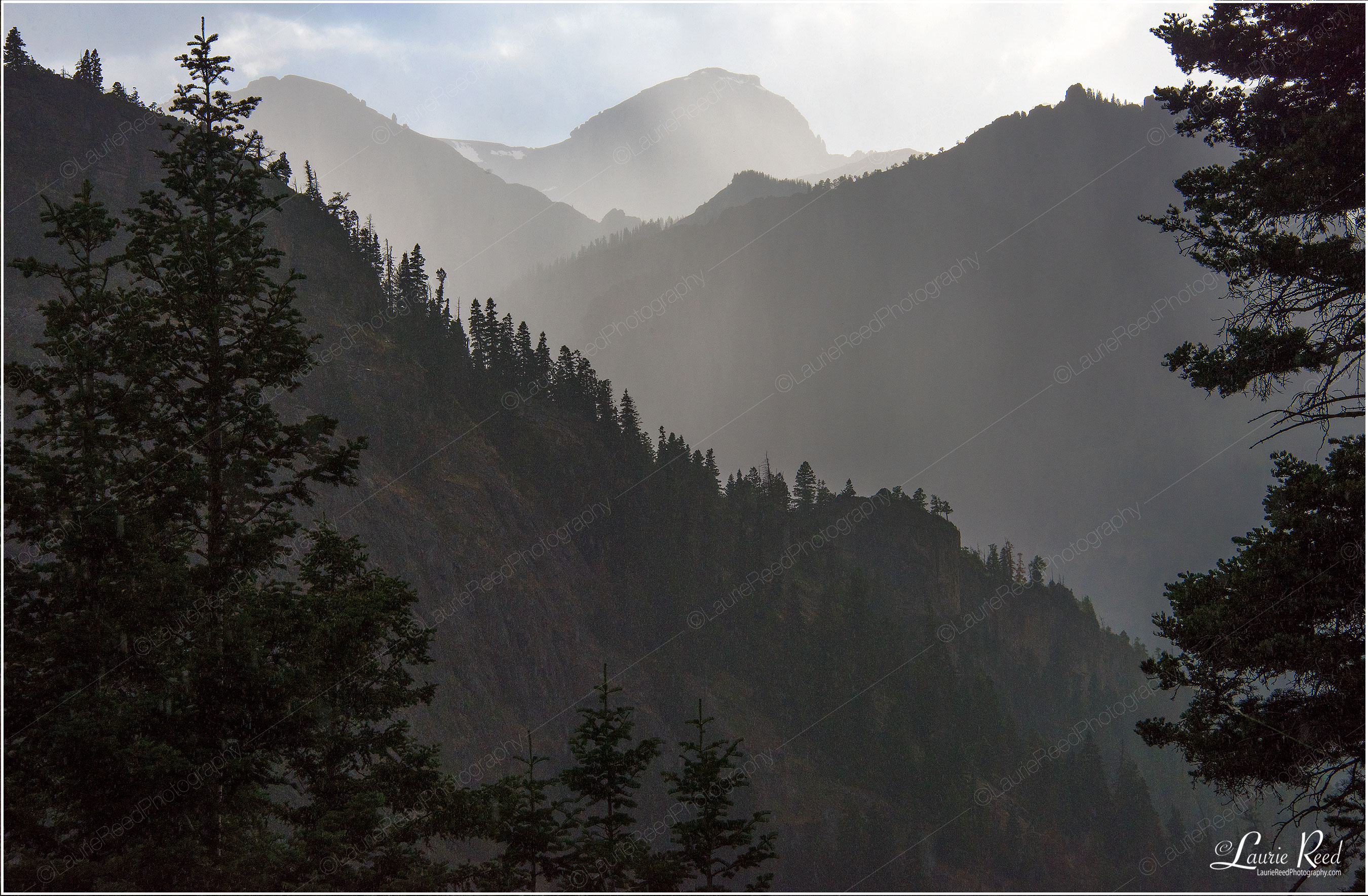 © Laurie Reed Photography