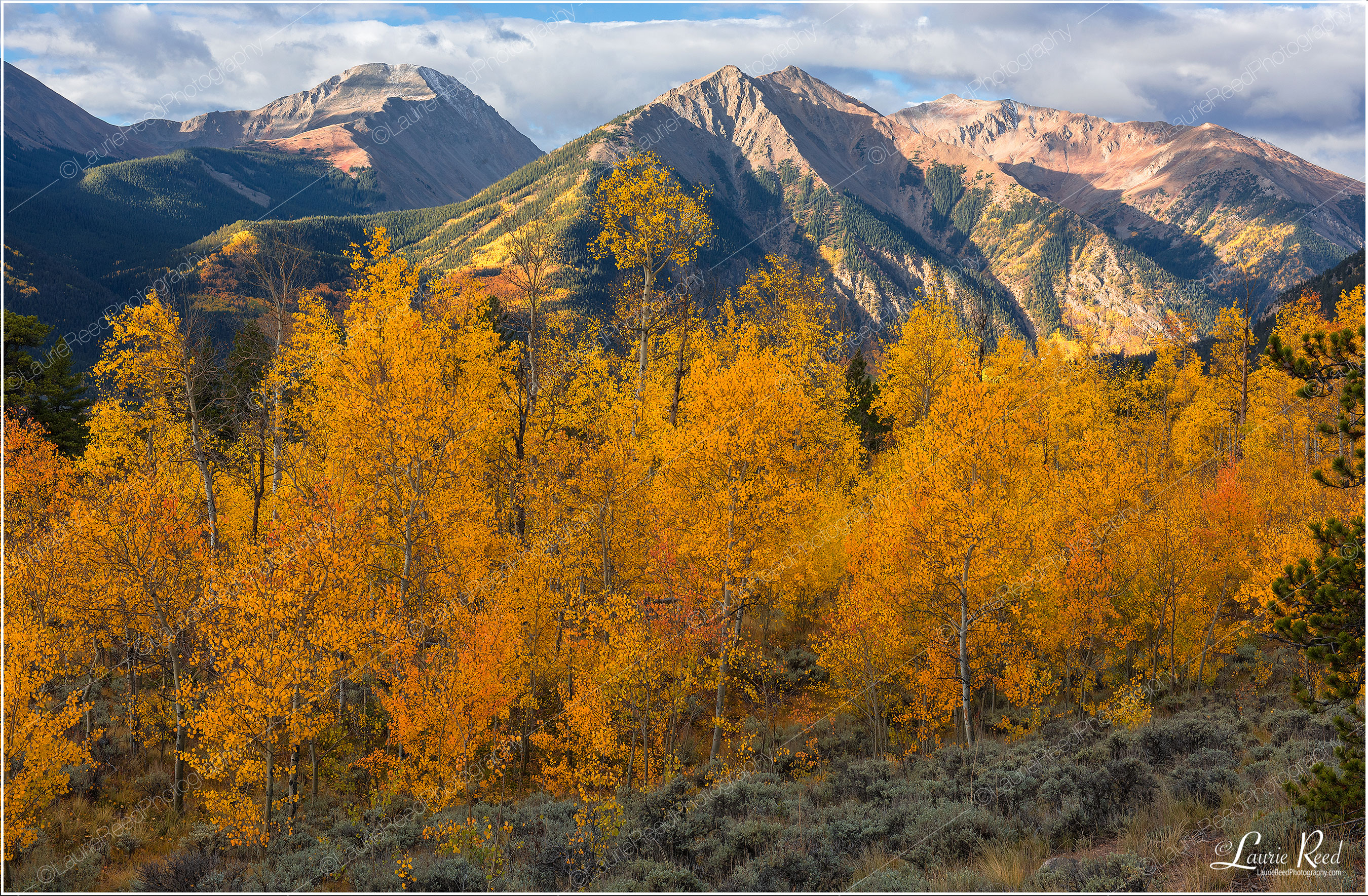 Twin Lakes Camp Road-DSC_4442© Laurie Reed Photography