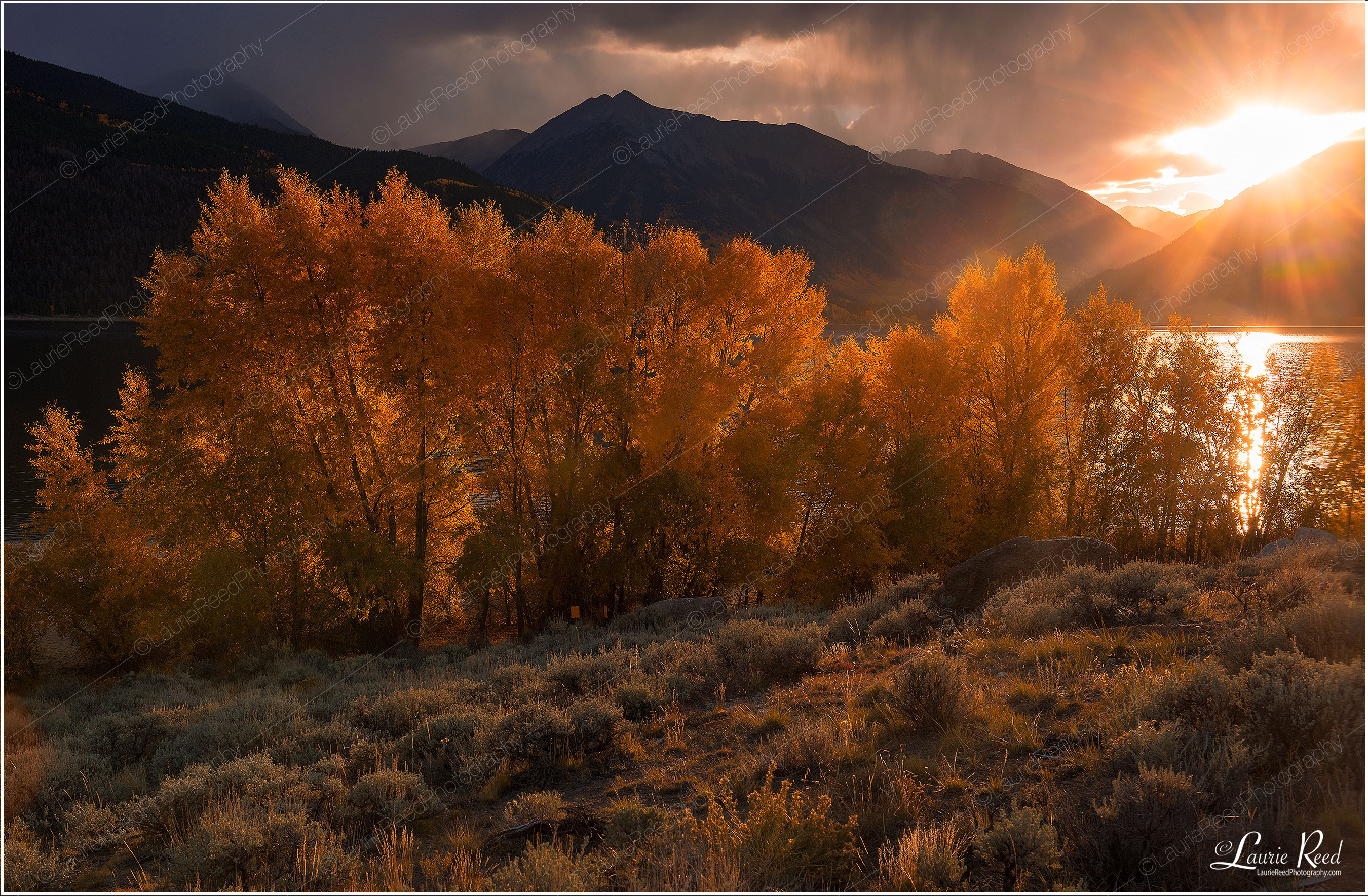 Twin Lakes Fall Sunburst-DSC_4121-Crop © Laurie Reed Photography