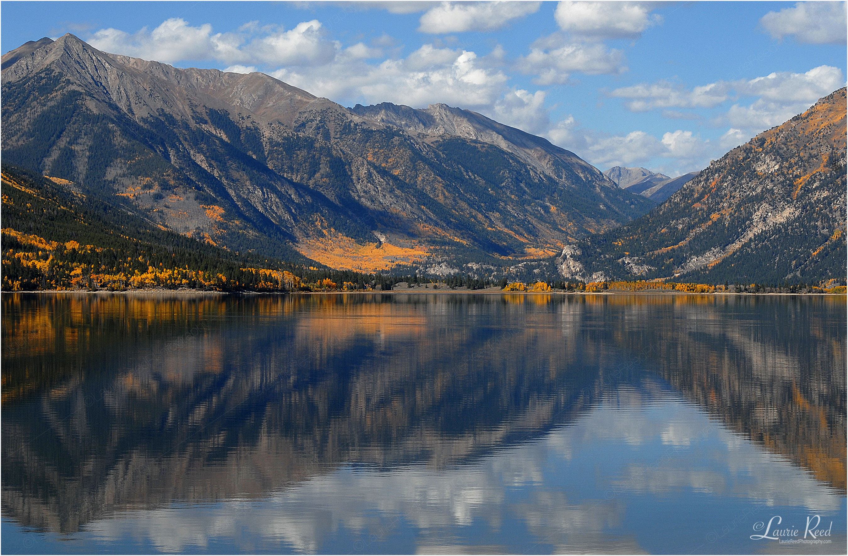 © Laurie Reed Photography