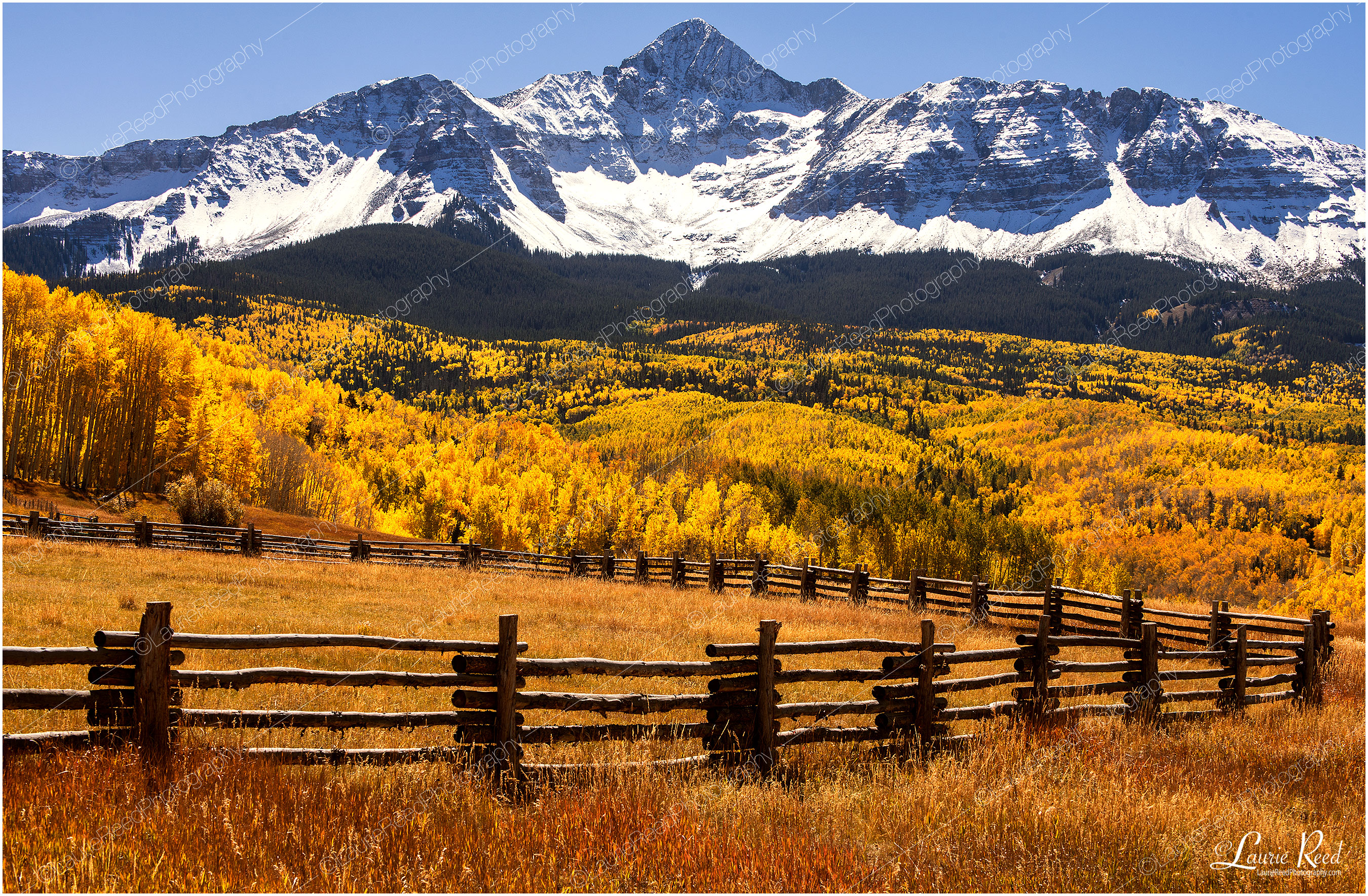 Wilson Peak Fall - 8324 © Laurie Reed Photography