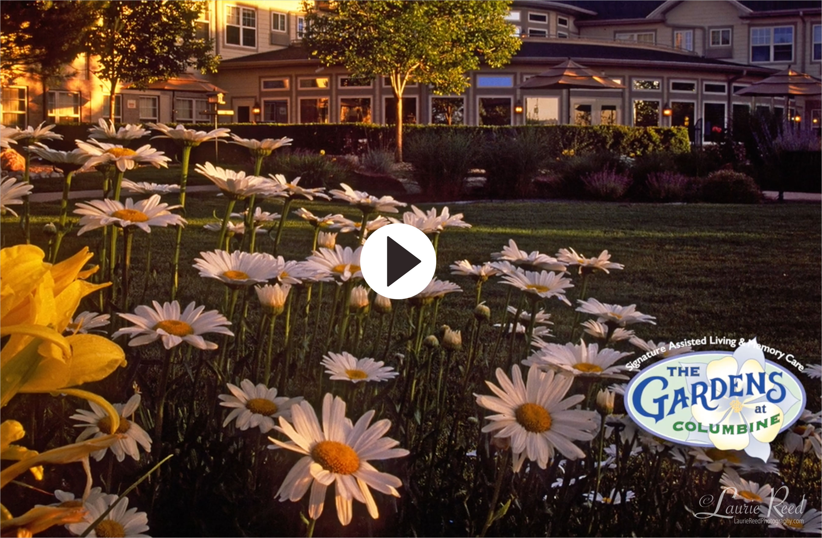 For Slideshows and Virtual Tours Call Laurie Reed Photography