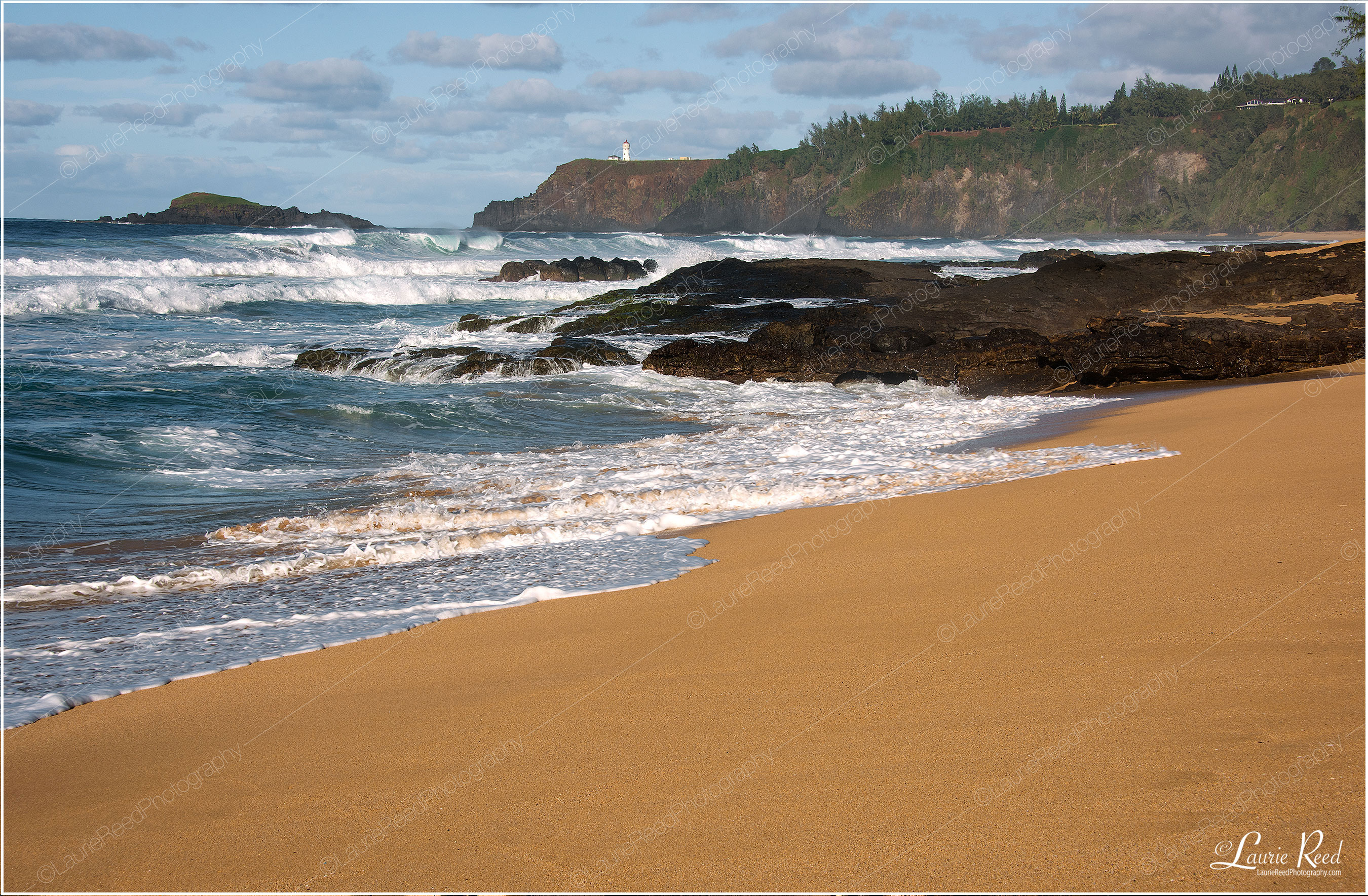 Secrets © Laurie Reed Photography