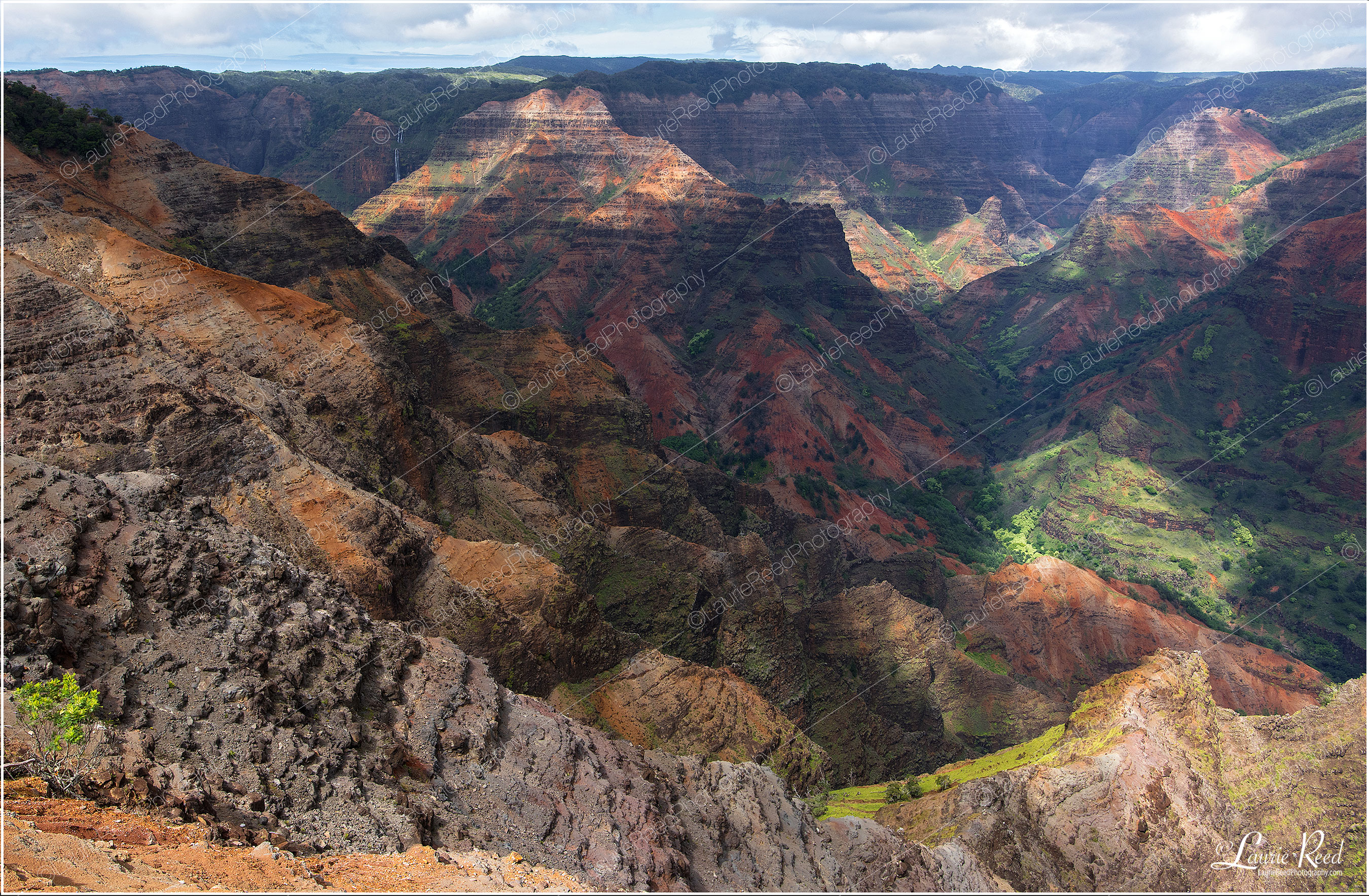 Waimea Canyon © Laurie Reed Photography