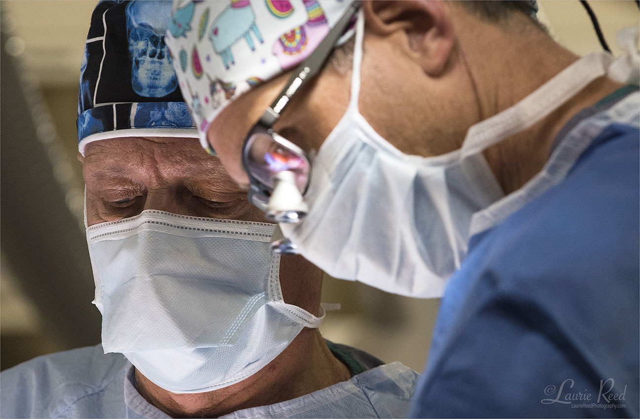 © Laurie Reed Photography