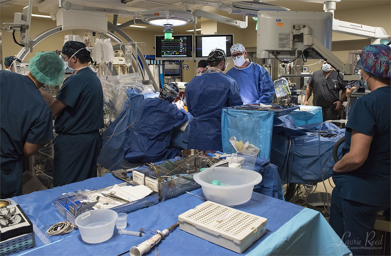 © Laurie Reed Photography