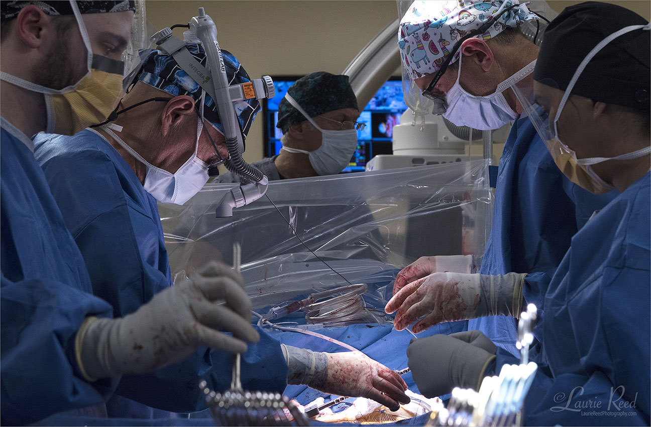 © Laurie Reed Photography