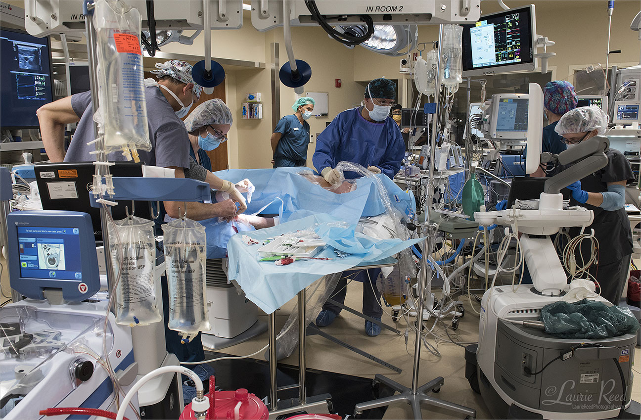 © Laurie Reed Photography