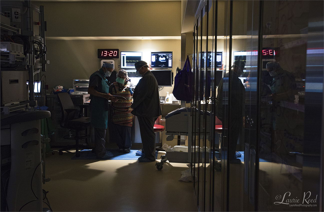 © Laurie Reed Photography