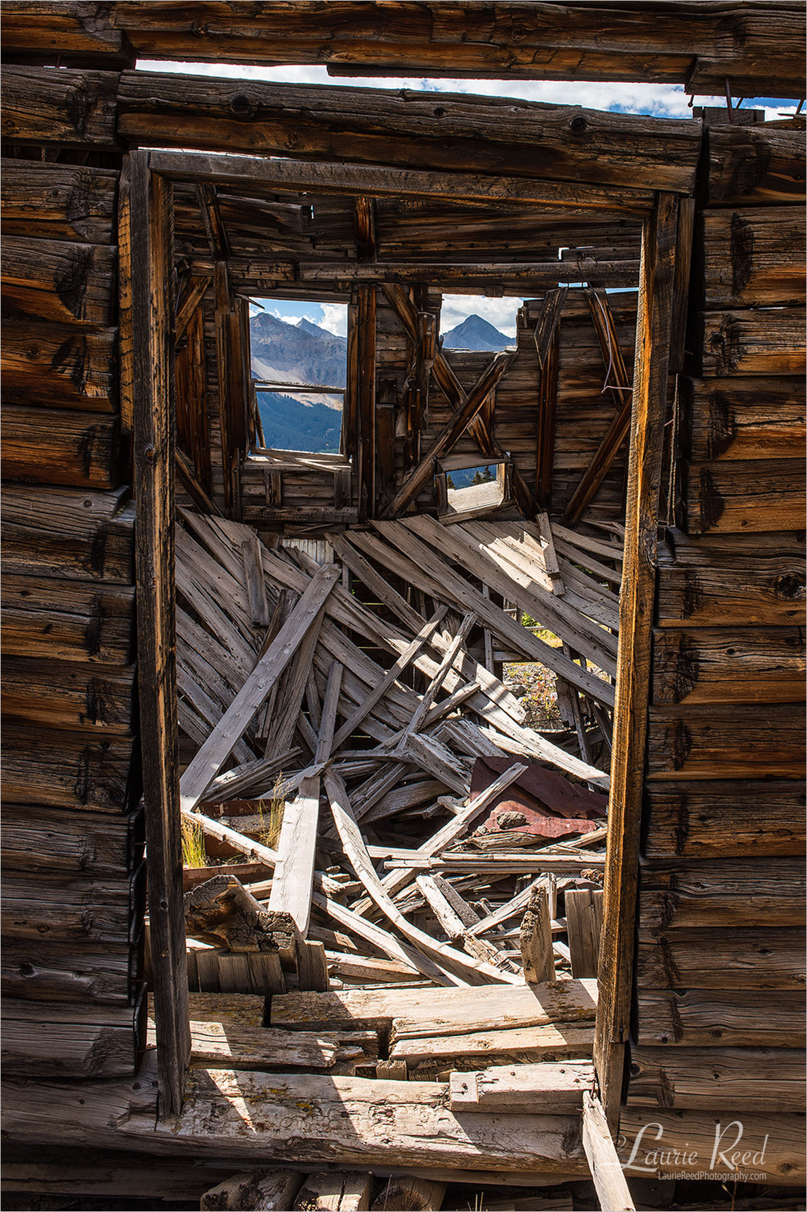 © Laurie Reed Photography