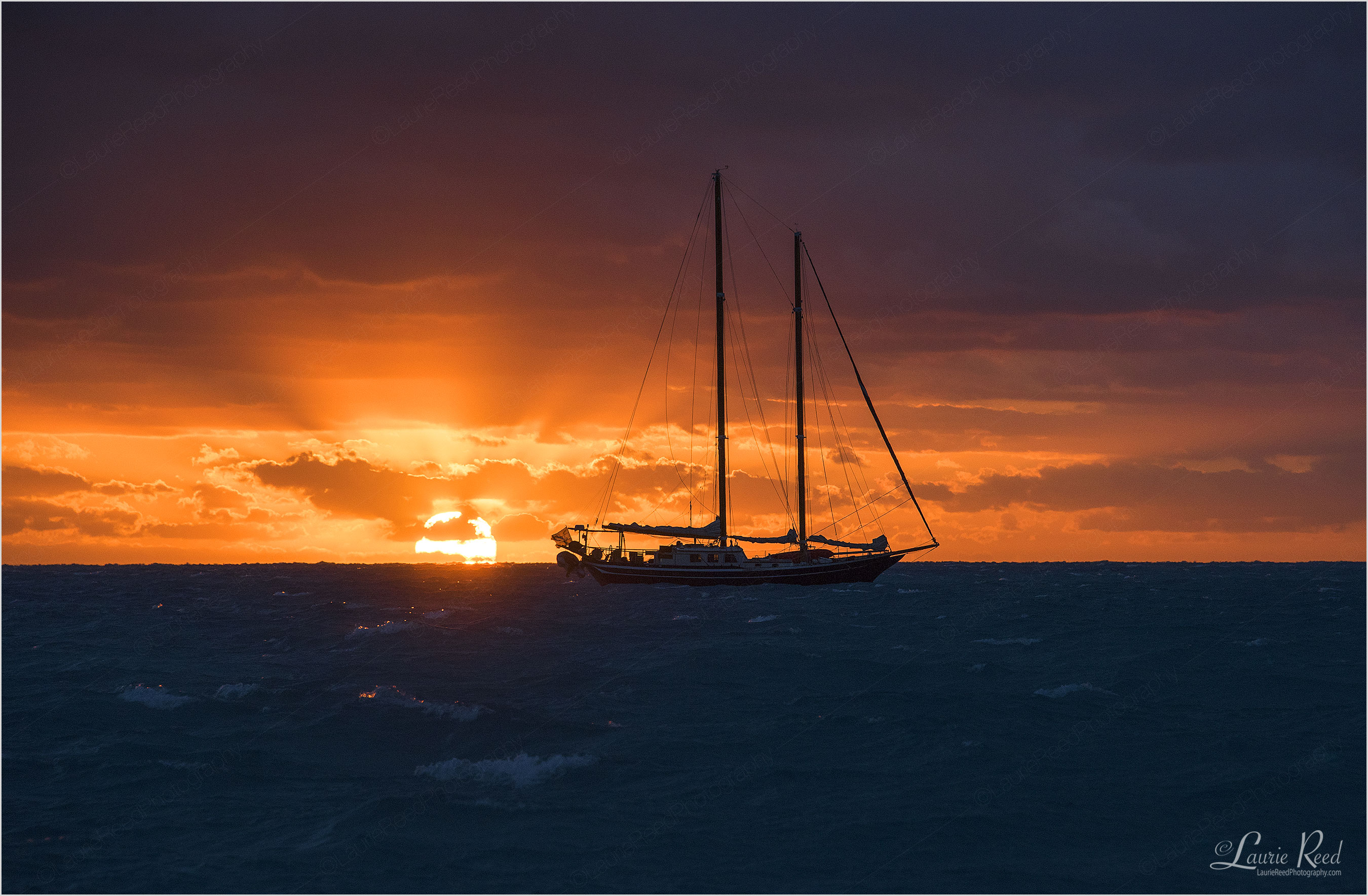 © Laurie Reed Photography