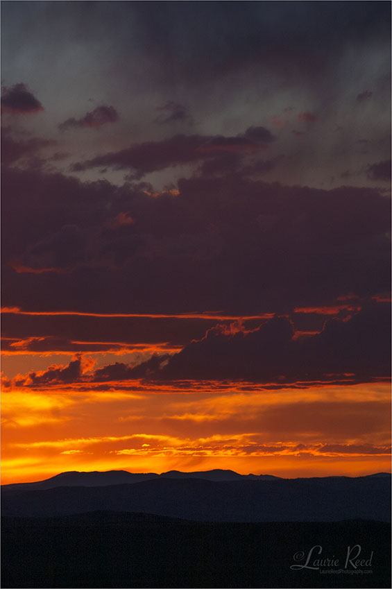 © Laurie Reed Photography