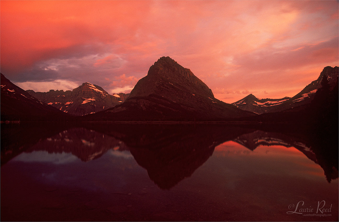 © Laurie Reed Photography