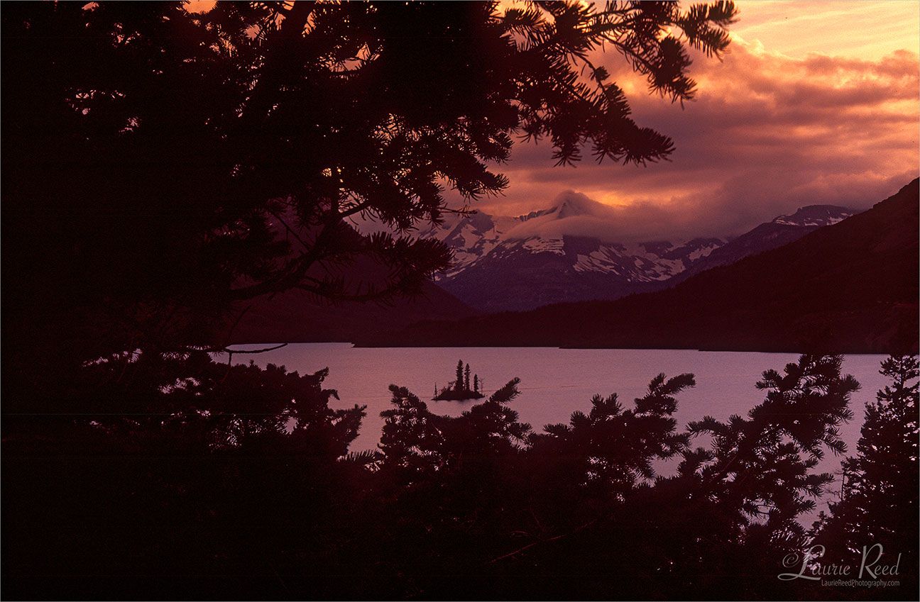 © Laurie Reed Photography