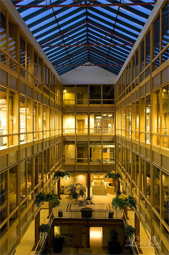 © Laurie Reed Photography