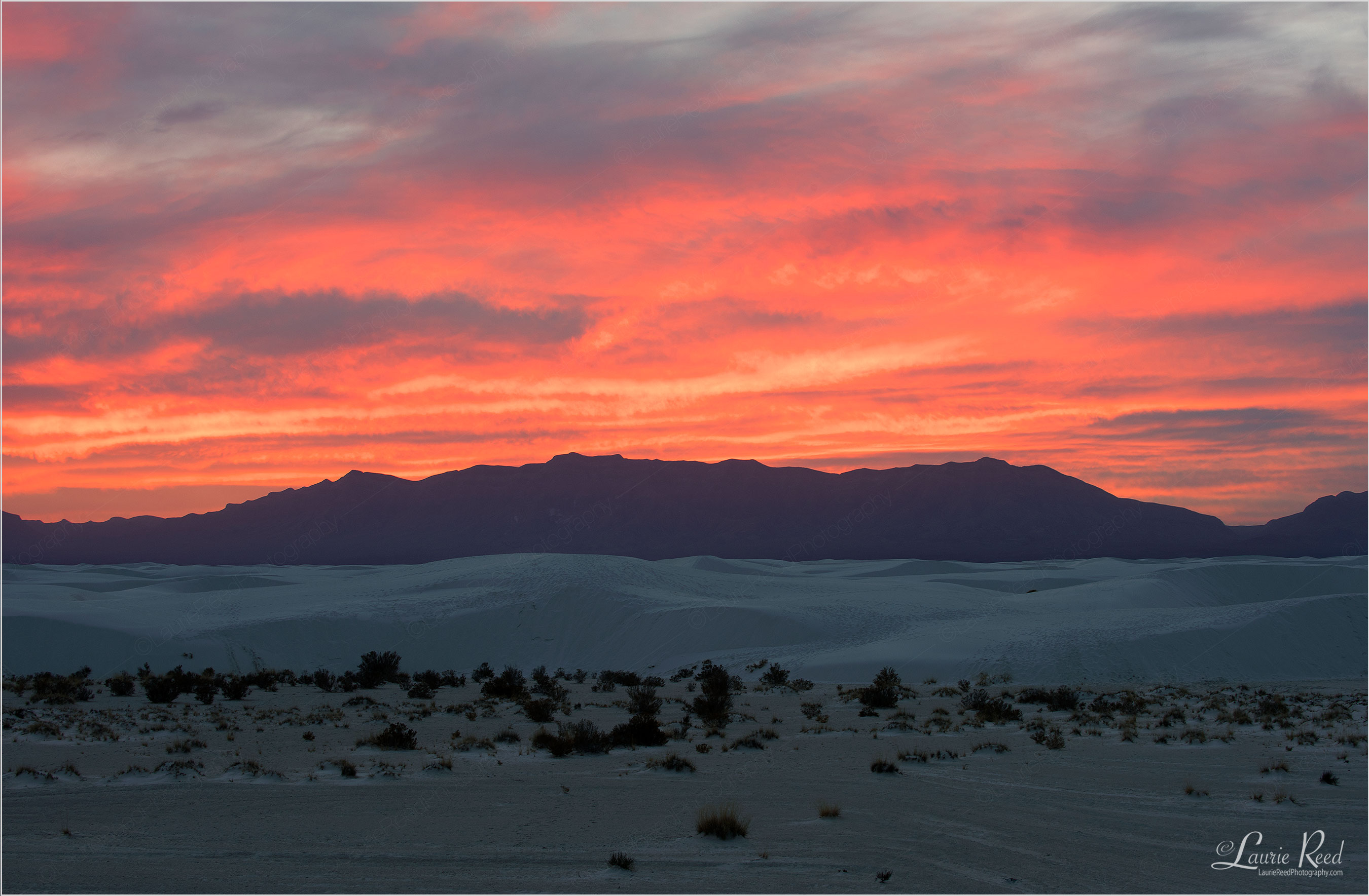 © Laurie Reed Photography