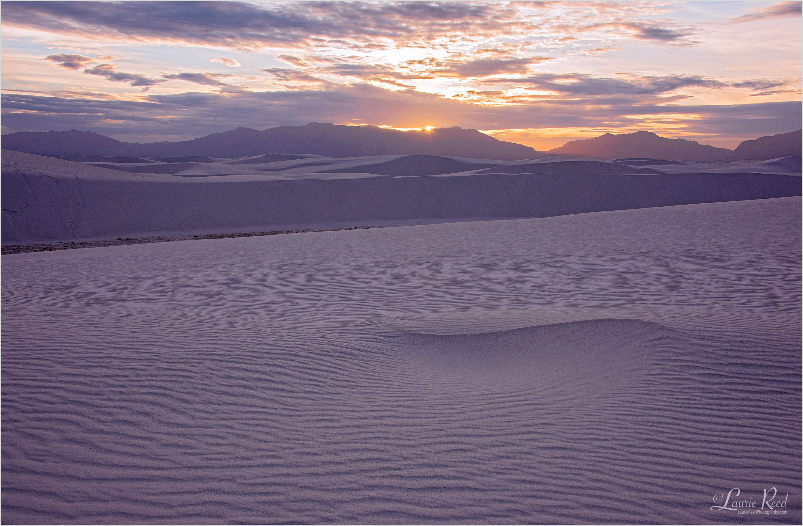 © Laurie Reed Photography