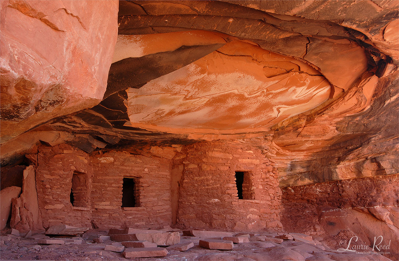 © Laurie Reed Photography