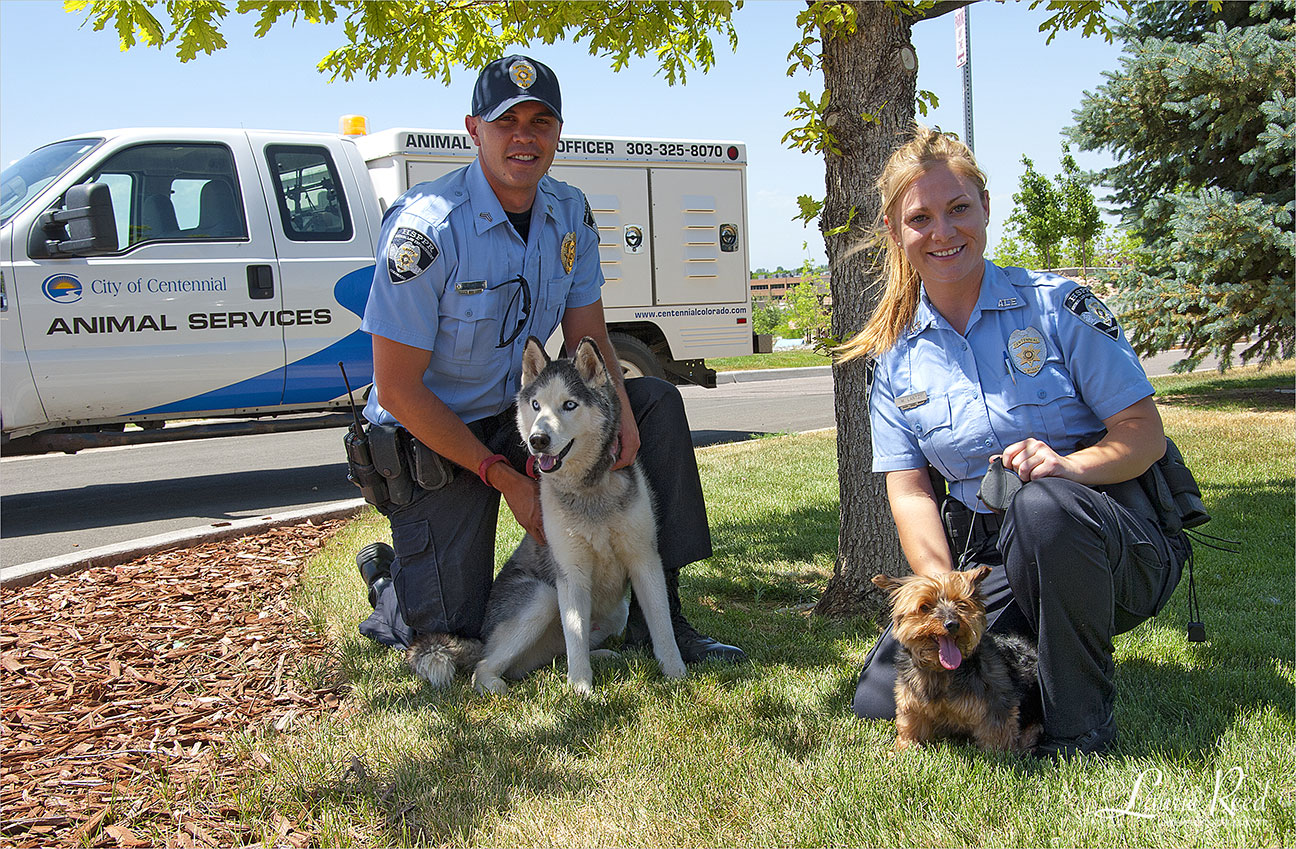 Website Photographer | Laurie Reed Photography