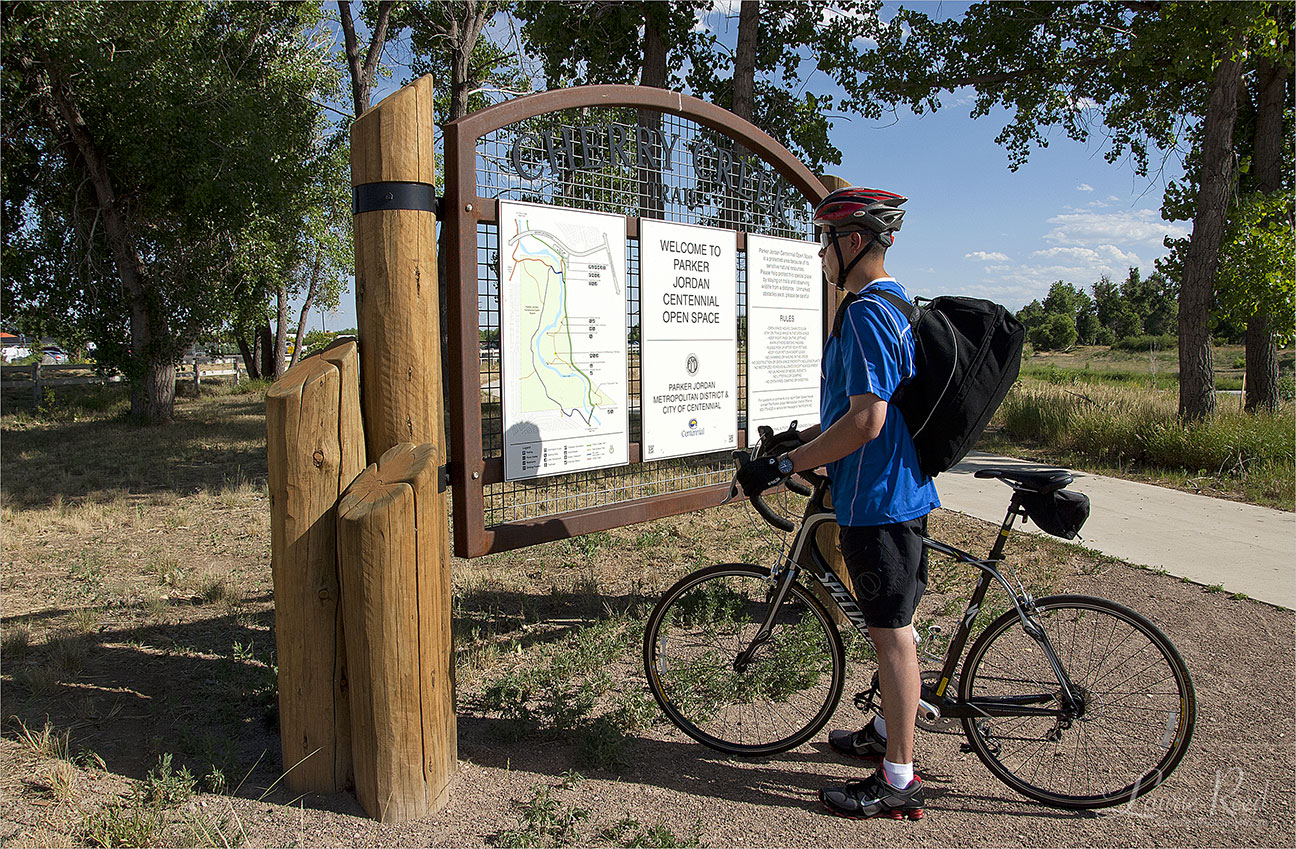 Website Photography | Laurie Reed Photography