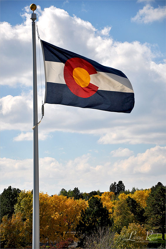 Colorado Photographer Laurie Reed Photography