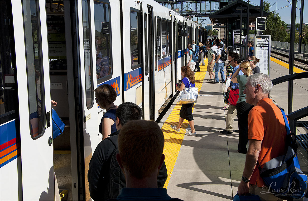 Website Photography | Laurie Reed Photography