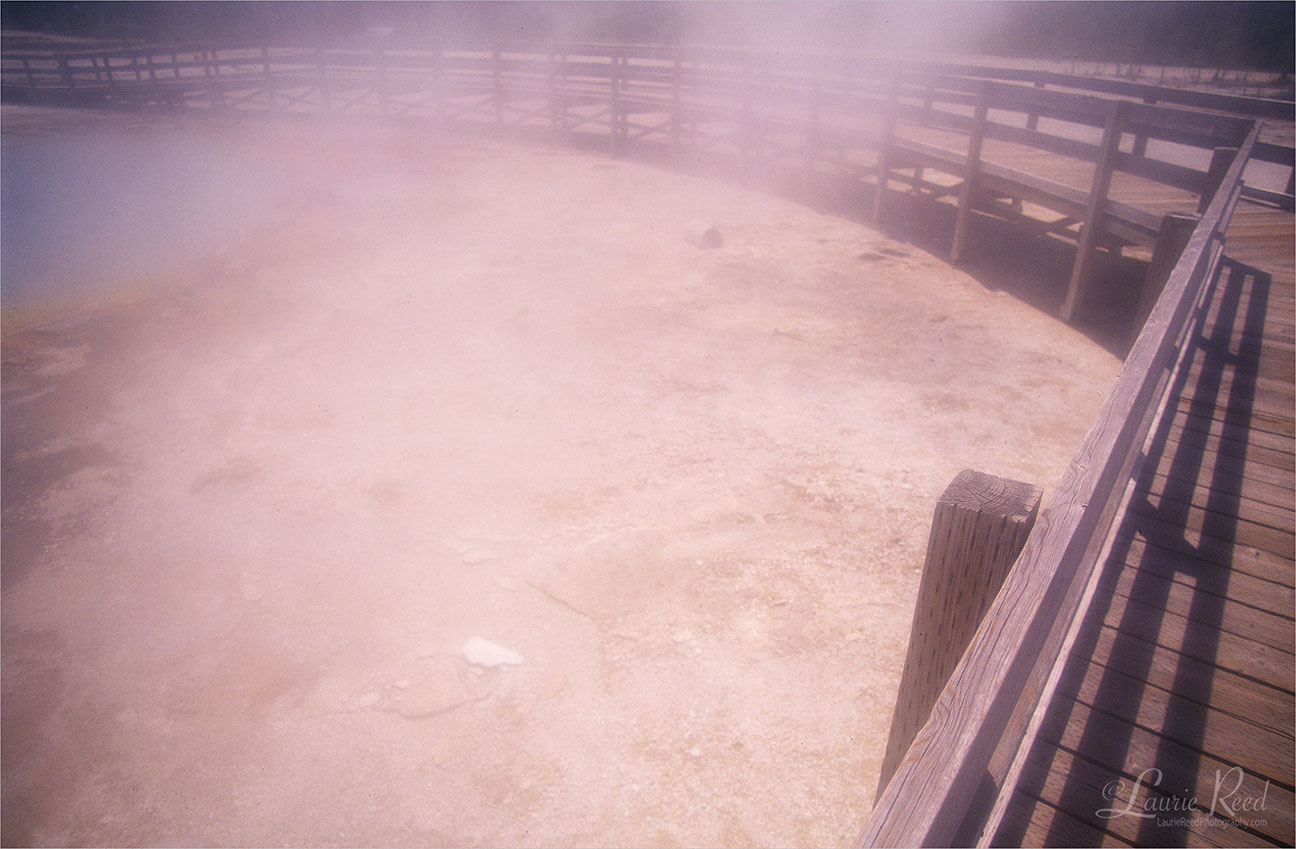 © Laurie Reed Photography