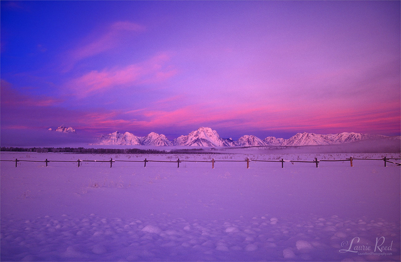 © Laurie Reed Photography